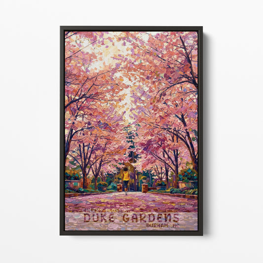 Durham NC - Duke Gardens - Cherry Blossom