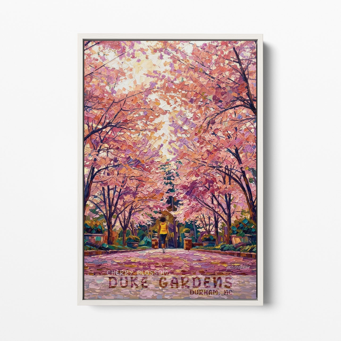 Durham NC - Duke Gardens - Cherry Blossom