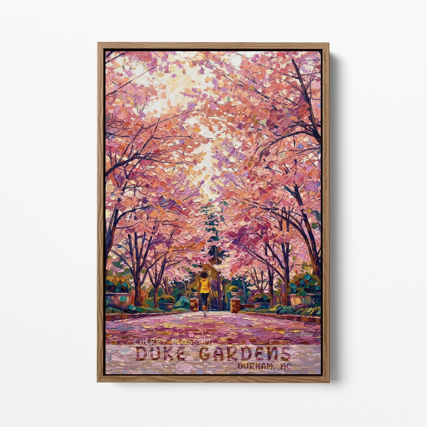 Durham NC - Duke Gardens - Cherry Blossom