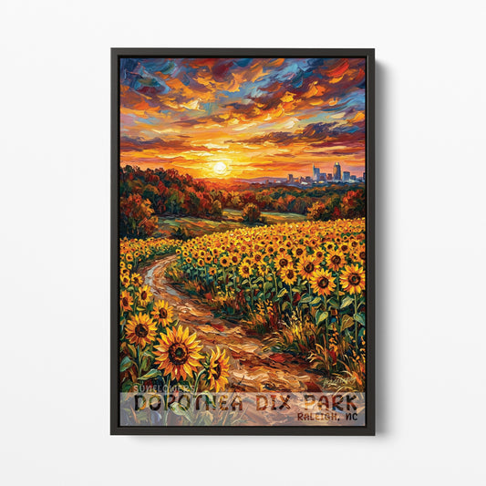 Raleigh NC - Dorothea Dix Park - Sunflowers
